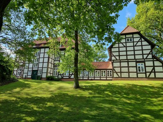Die Freudenburg: Fachwerkhäuser inmitten einer grünen Wiese mit Bäumen